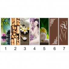 Скляні двері для лазні та сауни PAL 700х1900 мм загартоване скло з кольоровим фотодруком